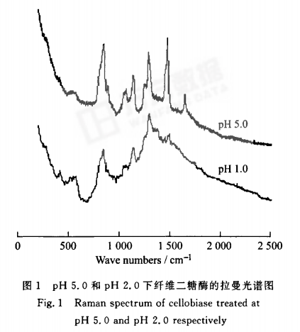 在不同PH值中,用拉曼光谱仪检测纤维二糖酶主链构象是否有异同?