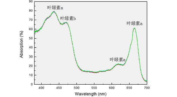 光纤光谱仪进行叶绿素光谱分析